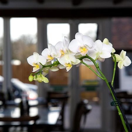 The Maple Manor Hotel Кролі Екстер'єр фото