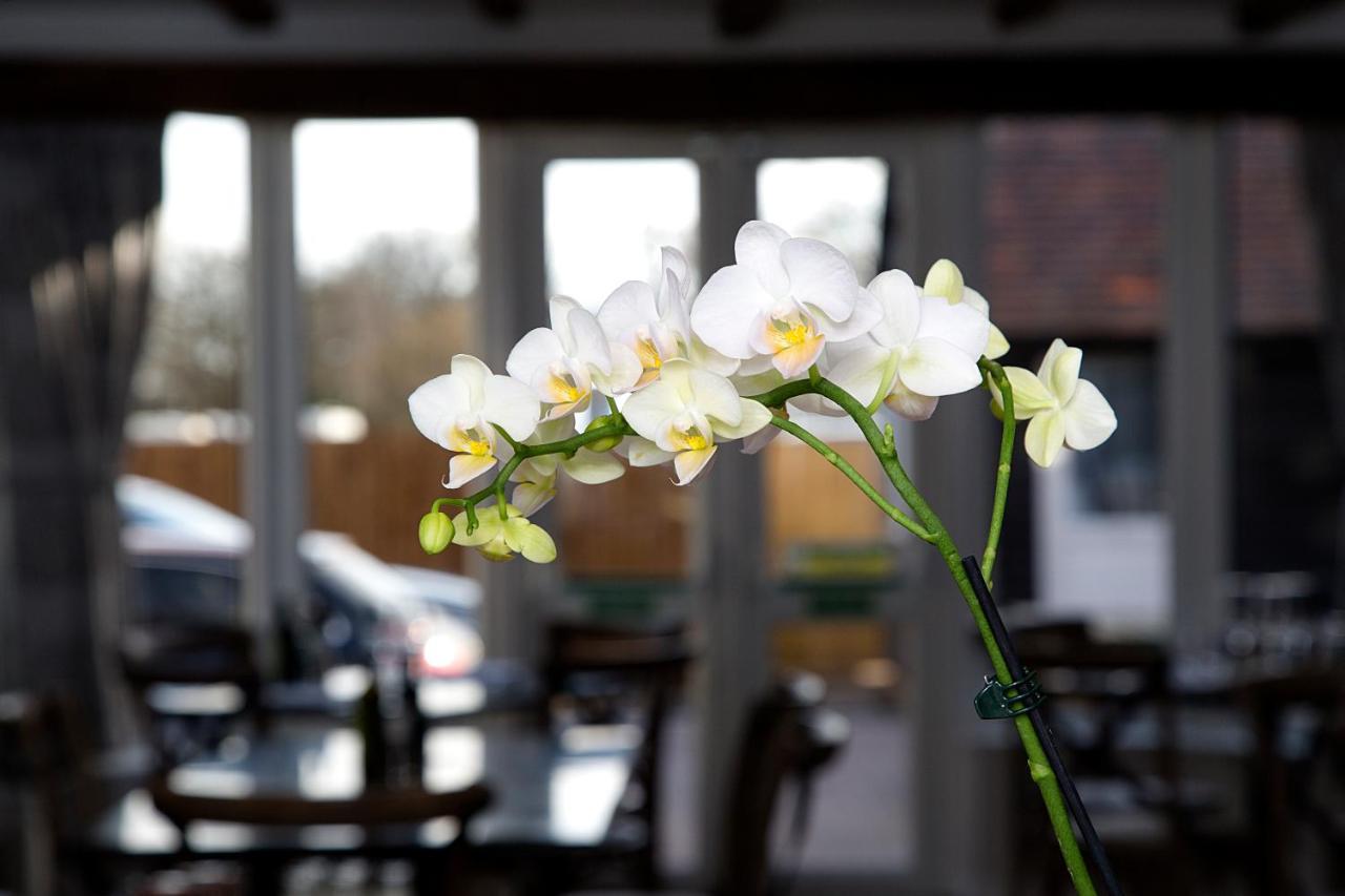 The Maple Manor Hotel Кролі Екстер'єр фото